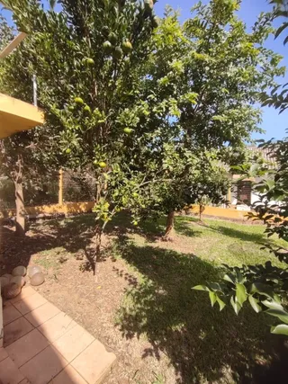 Casa com 3 dormitórios, foto 6