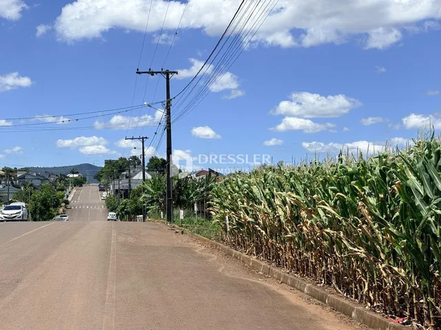 Terreno, foto 4