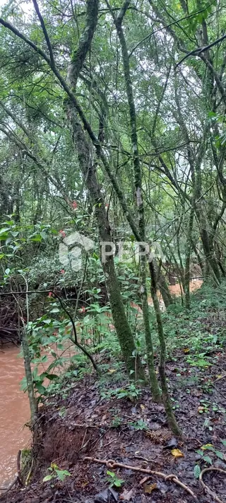 Área rural, foto 8