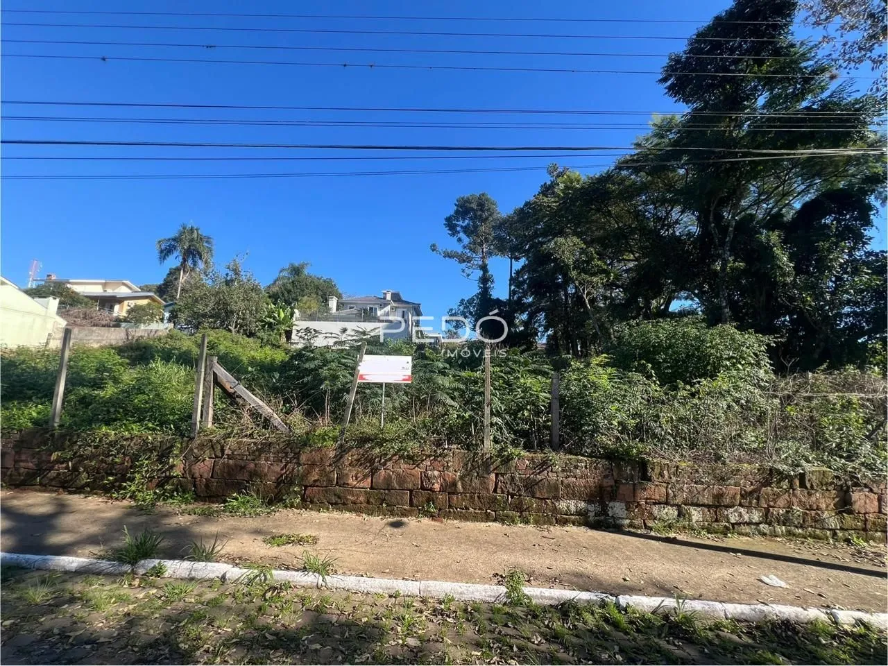 Terreno, foto 1