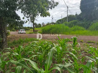 Terreno, foto 2