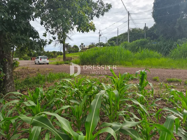 Terreno, foto 2