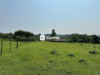 Vista de um campo verde aberto com vegetação ao fundo.