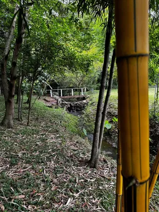 Área rural com 3 dormitórios, foto 7