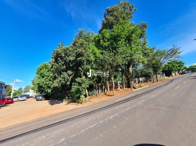 Vista da fachada de uma propriedade com árvores ao longo da rua.