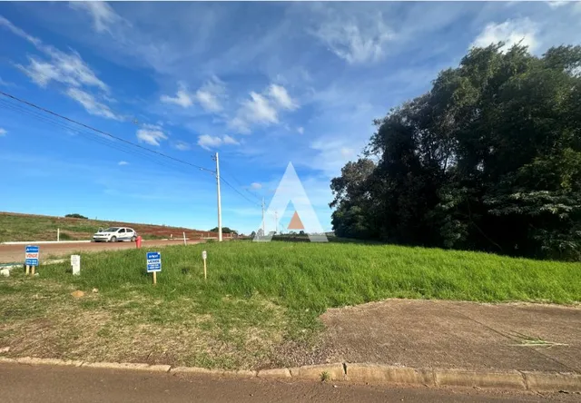 Terreno, foto 3