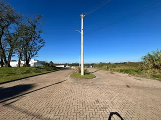 Vista externa de uma rua pavimentada com vegetação ao fundo sob um céu azul.