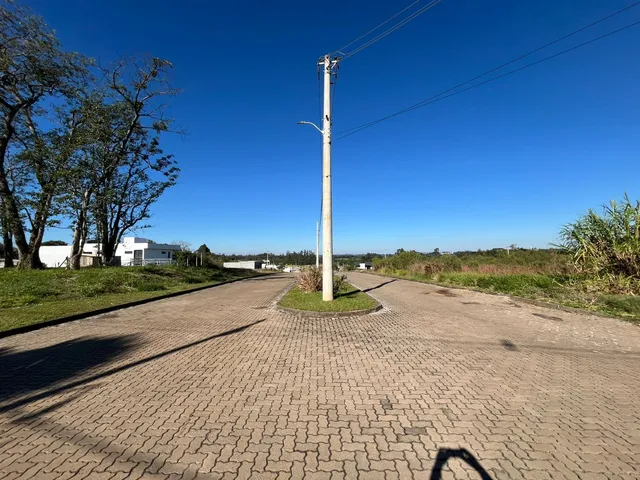Vista externa de uma rua pavimentada com vegetação ao fundo sob um céu azul.