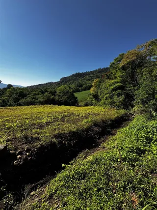 Área rural, foto 6