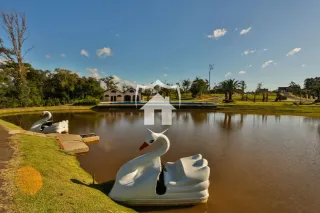 Terreno, foto 7