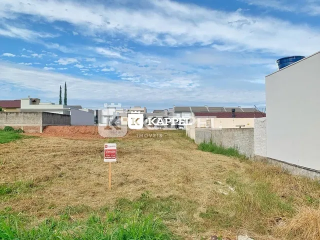 Vista externa de um terreno com vegetação seca e muro de contenção.