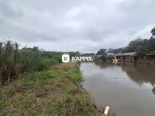 Vista de um rio com vegetação densa na margem.