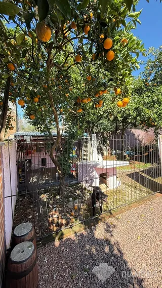 Casa com 3 dormitórios, foto 29