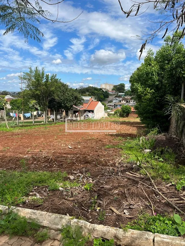Terreno
