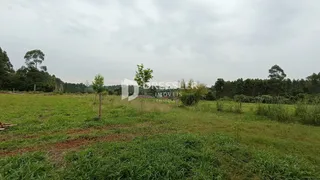 Área rural com 4 dormitórios, foto 20