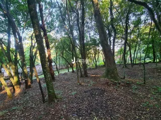 Área rural, foto 50