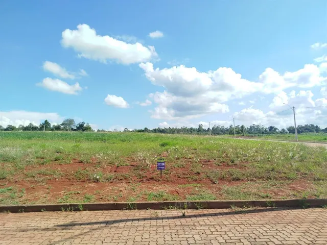 Terreno, foto 3