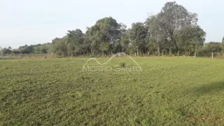Campo aberto com vegetação verde em uma propriedade em Lajeado.