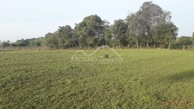 Campo aberto com vegetação verde em uma propriedade em Lajeado.