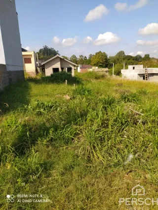 Terreno, foto 3