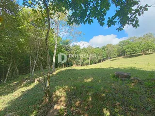 Área rural com 2 dormitórios, foto 13