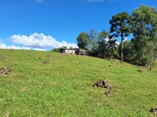 Área rural com 2 dormitórios, foto 6