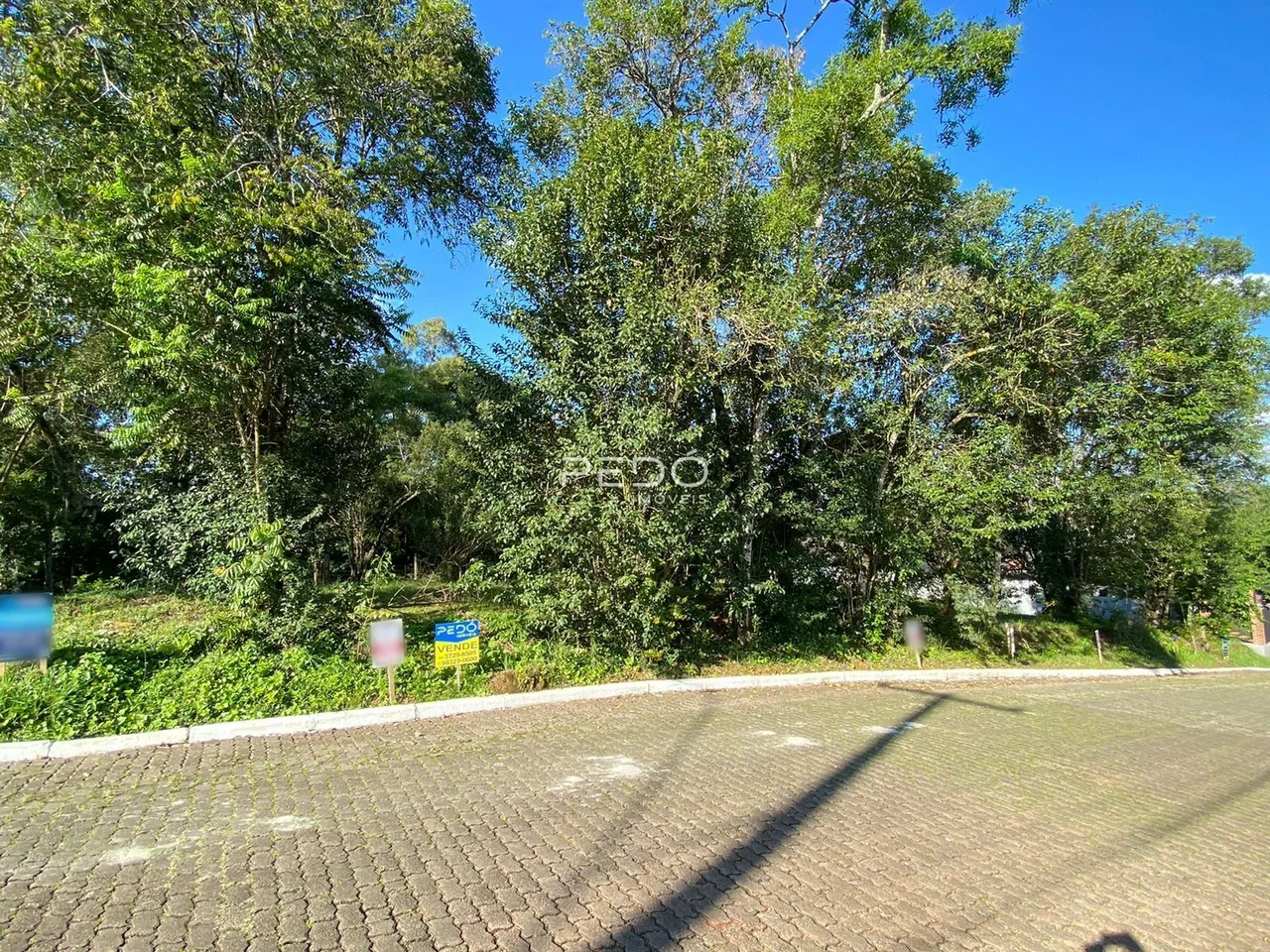 Terreno, foto 1