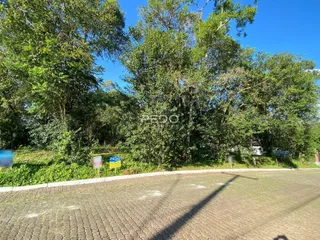 Vista externa de uma propriedade com vegetação densa e uma área pavimentada.