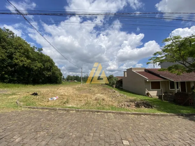 Terreno, foto 3