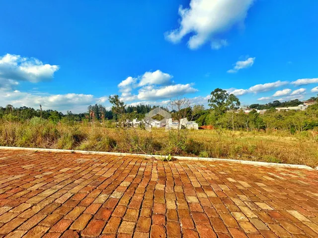 Vista da paisagem com vegetação seca e um pátio de tijolos no exterior.