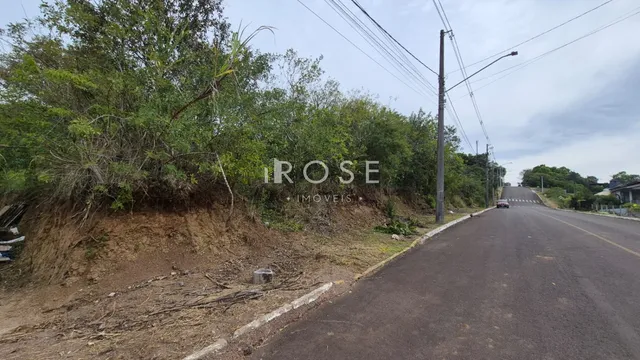 Vista da propriedade ao longo da estrada com vegetação e terra exposta.