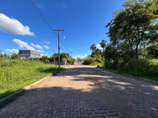 Terreno, foto 3