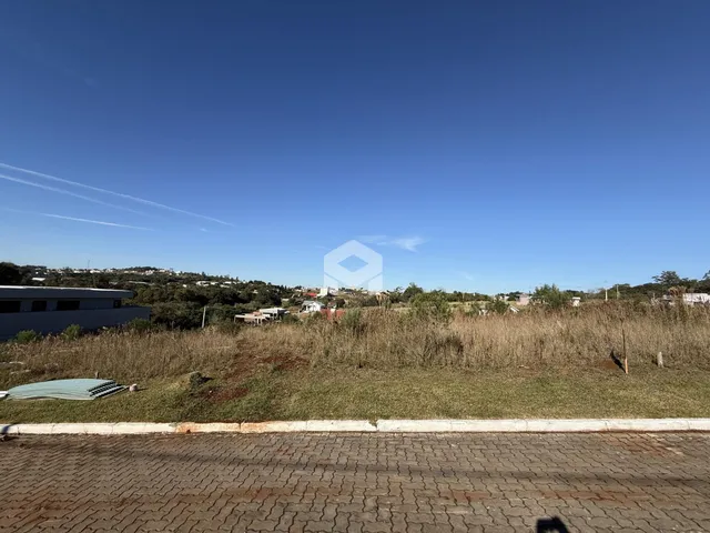 Vista de uma área de terreno com vegetação seca e uma estrada no primeiro plano.