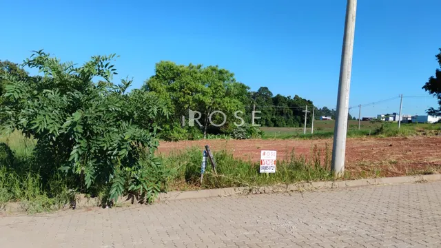 Terreno