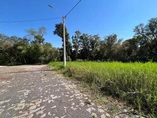 Terreno, foto 3