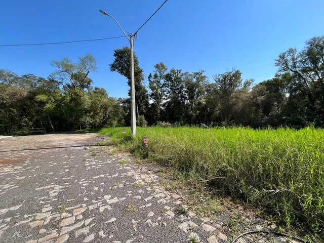Terreno, foto 3