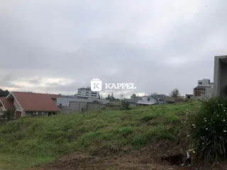 Vista de uma paisagem com vegetação em primeiro plano e edifícios ao fundo em Lajeado.