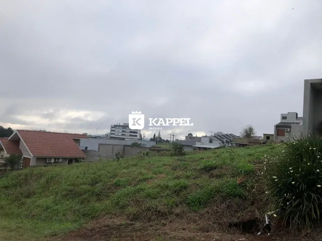 Vista de uma paisagem com vegetação em primeiro plano e edifícios ao fundo em Lajeado.