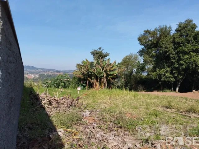Terreno, foto 3