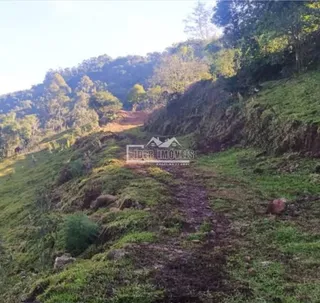 Paisagem de colina verde com vegetação densa na área de Lajeado.