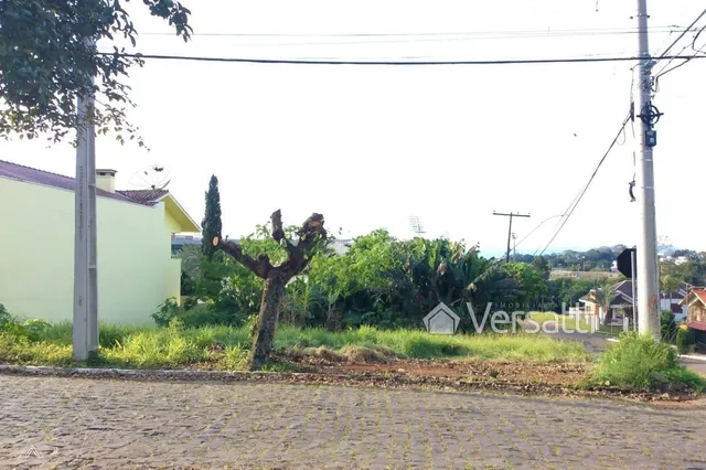 Terreno