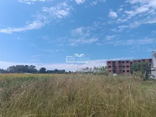 Paisagem de campo com vegetação alta e edifícios ao fundo.