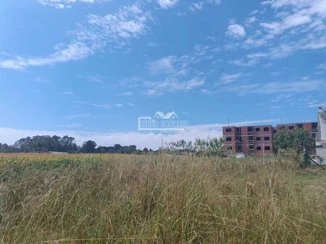 Paisagem de campo com vegetação alta e edifícios ao fundo.