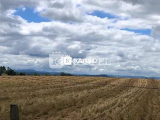 Paisagem de campo seco sob um céu nublado.