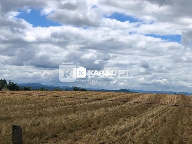 Paisagem de campo seco sob um céu nublado.