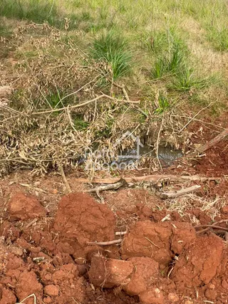 Área rural, foto 9