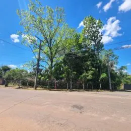Terreno, foto 14