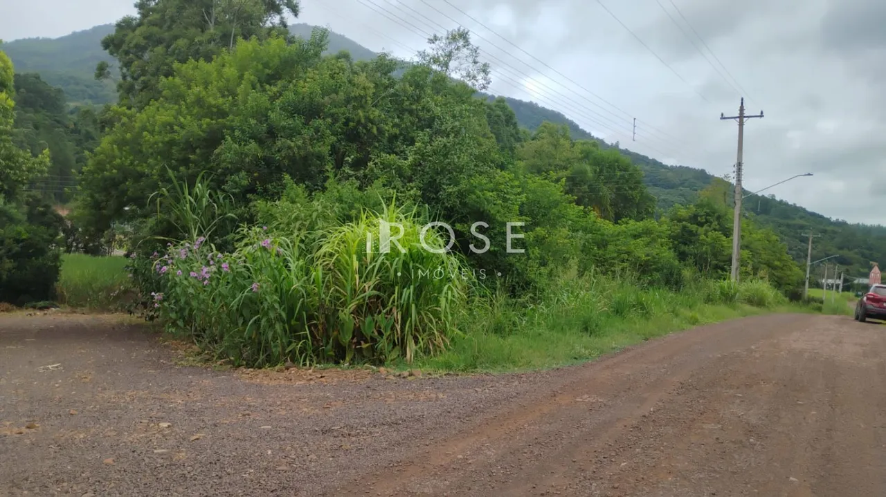 Área rural, foto 1
