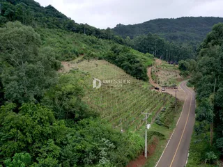 Área rural, foto 12