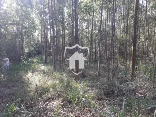 Área rural, foto 2